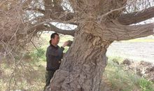 岁月面前无壮士，人间是叹为观止的难