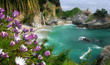 我渴望自由700字