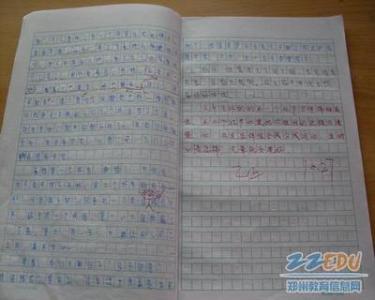 小学生的论文更正和评论集