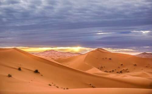 与沙漠有关的言论