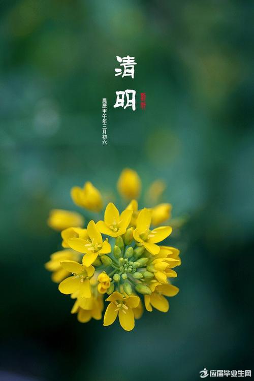 清明想念亲戚的句子