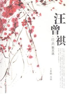 王增琪：翠湖之心