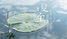 有关于细节的优美句子