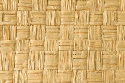 孙丽：编织座位