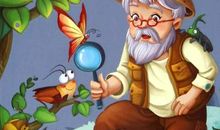 读昆虫记有感500字