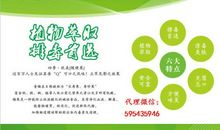 描写四季的优美语句