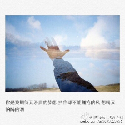 经典语录:谢谢您的微笑,我曾经惊慌失措