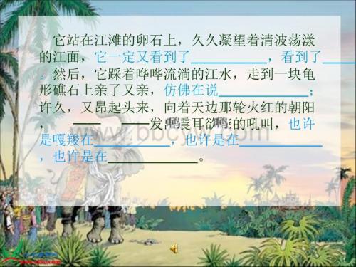 最后一头大象的主要内容