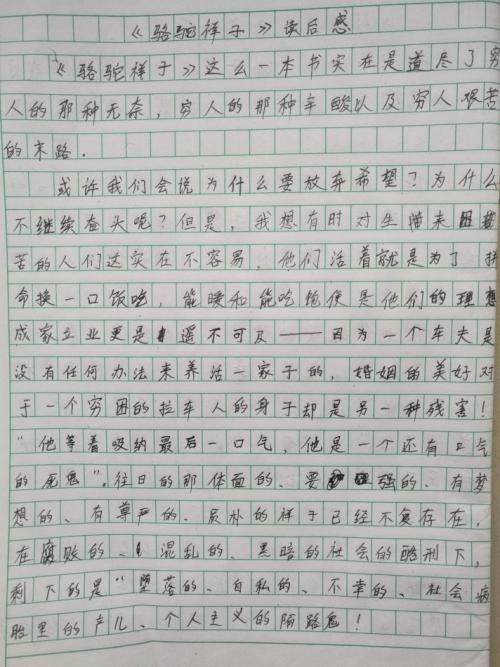 读湘子罗托的500字