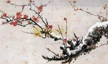 辛弃疾：卜算子·漫兴