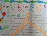 拉罗什·福柯行情