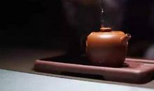 普卡利西尔名言