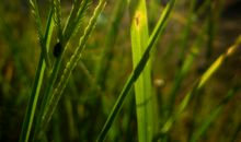 经典语录：生命中，有风，有雨，但别忘了也会有阳光