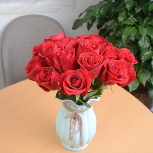 情人节玫瑰语言