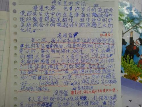 2016小学家庭趣味小论文评论