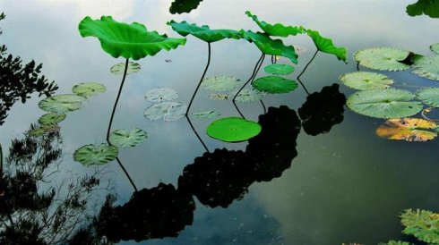 启蒙，人生中最重要的事情