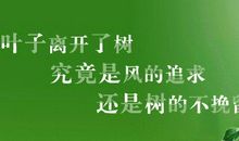 生活给你的忠告