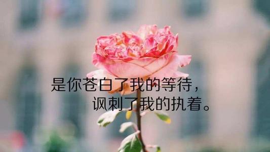 关于持久性的美丽句子