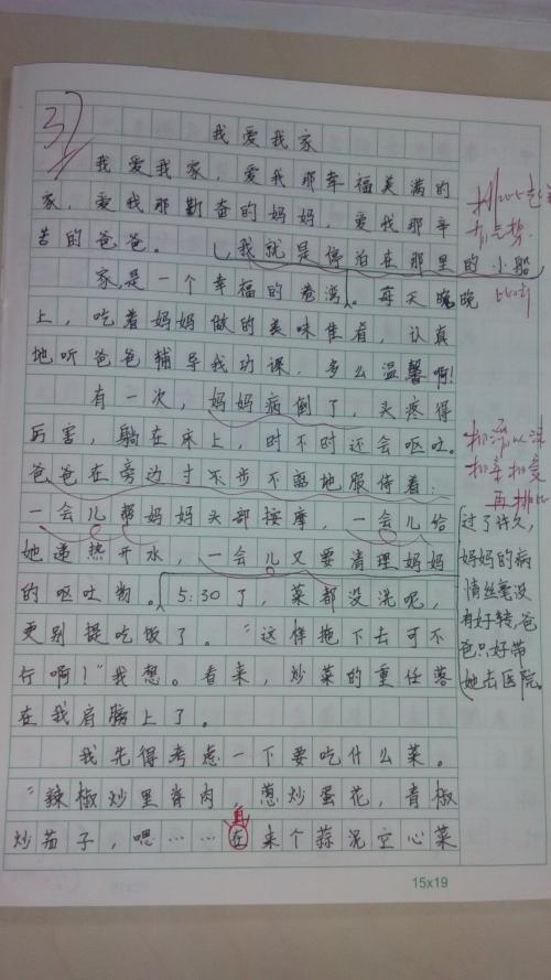 风景组成：美丽的雪花