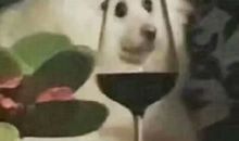 人生感悟：你若无情我便休，往事如昨易白头