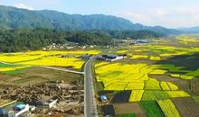 刘亮程：正午田野