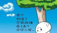 长大以后，你悟出过哪些不一样的道理？