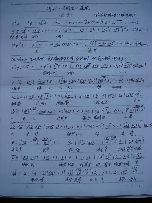 阅读空的城市计划后的500个字