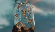 刘亮程：走着走着剩下我一个人