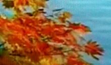 应修人：妹妹你是水