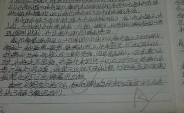 阅读桥梁后500个字