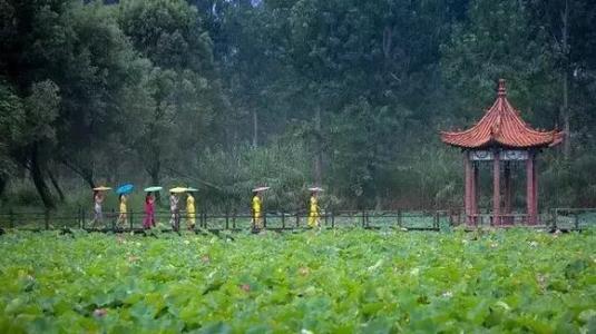 温逸多：《红莲的灵魂》