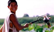 《小兵张嘎》观后感