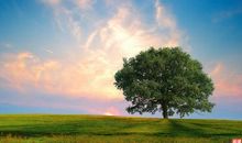 感悟生活：生命的意义