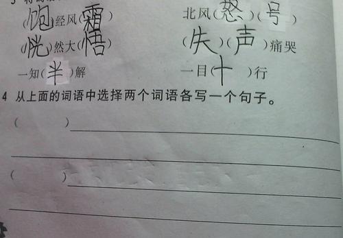 一步一步地造一个句子