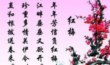 歌颂梅花的诗句