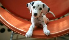 改变你生活状况的50种生活方式