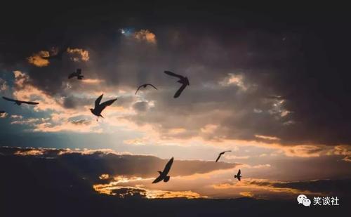 请放弃你的生命