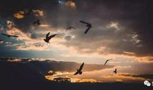 请低配你的人生