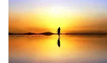 生命的价值在哪里？