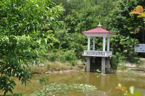 杜甫：九天岚天翠家庭村