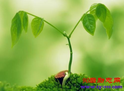 在逆境中成长的名言