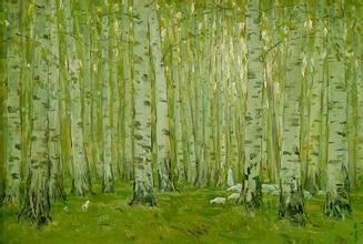 描述杨树的句子