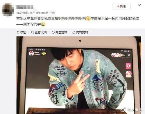 Tao Majes Cone的行情