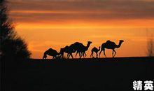 人生有梦才幸福——读《骆驼祥子》有感