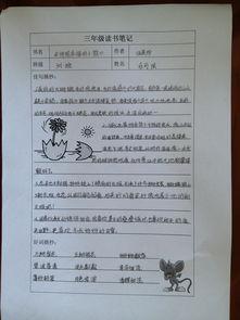 阅读后100字