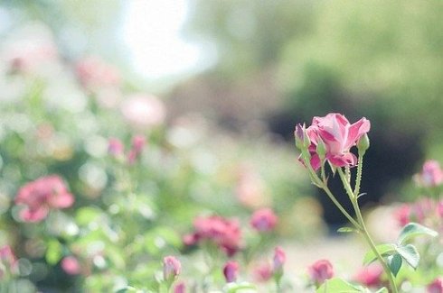 经典语录：简单相遇，淡忘