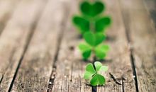 怎样拥有人生的光彩