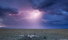 描写闪电的句子