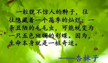 杏林子：《生命的极限》