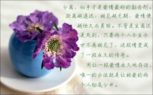 人生见解文章：人生唯一不能缺少的是什么？